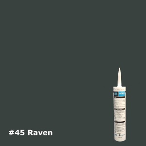 #45 Raven