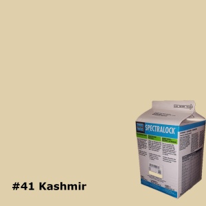 #41 Kashmir
