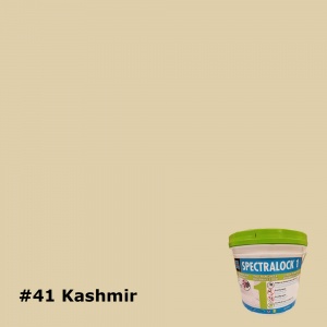 41 Kashmir