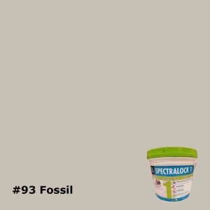 93 Fossil