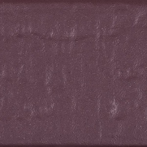 Aubergine