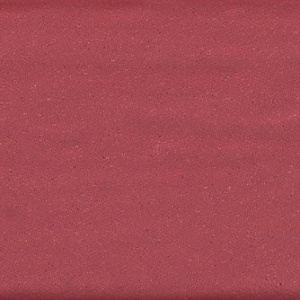 Ginja