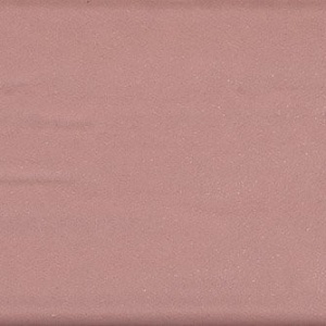 Rosa Cha