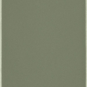 Sage Warp