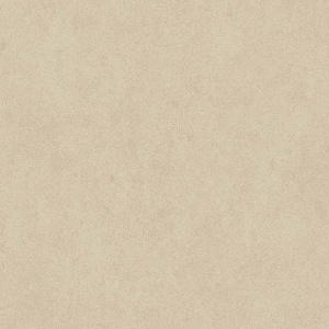 Classical Beige