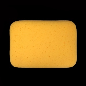   XL Sponge  